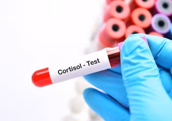 Poziom kortyzolu we krwi podlega dobowym wahaniom. Najwyższe wartości osiąga rano, około godziny 8.00 (150-700 nmol/l), najniższe zaś około północy (30-120 nmol/l).