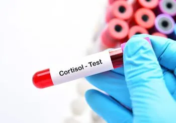 Poziom kortyzolu we krwi podlega dobowym wahaniom. Najwyższe wartości osiąga rano, około godziny 8.00 (150-700 nmol/l), najniższe zaś około północy (30-120 nmol/l).