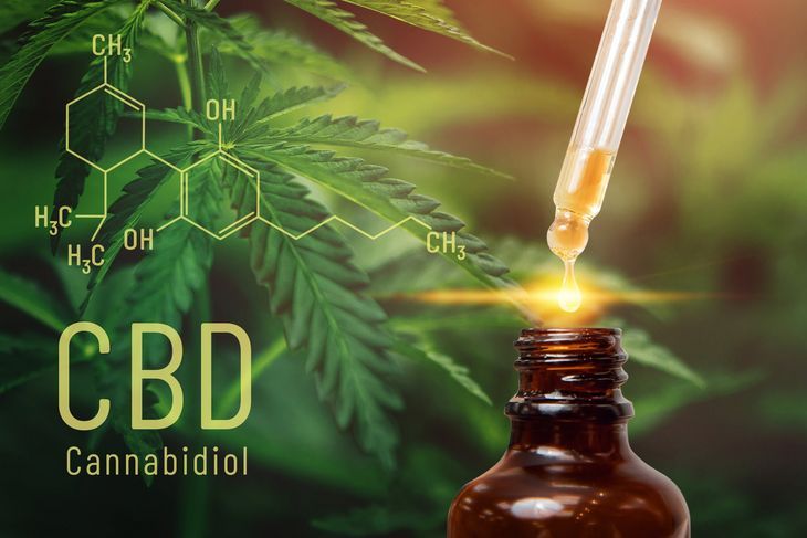 Kannabidiol (CBD) – działanie, przeciwwskazania, kontrowersje