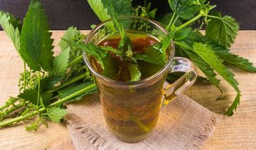 Pokrzywa – zwykły chwast i niezwykłe właściwości