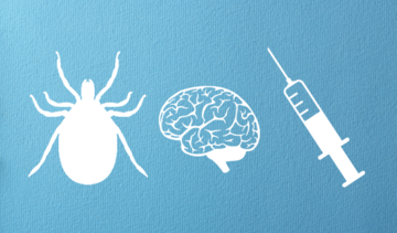 Szczepionka na kleszczowe zapalenie mózgu − jak działa i kto może ją stosować?