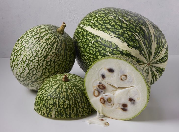 Dynia figolistna. Adobe Stock.