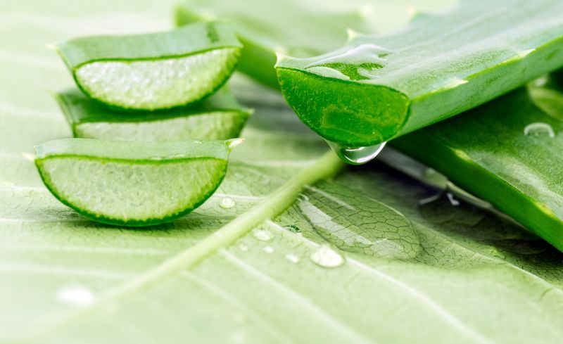 aloe vera gel plus 86 Aloe Vera 93% Soothing Gel