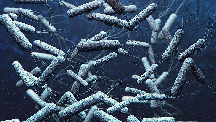 Dziś odporne na antybiotyki są np. bakterie, które wywołują zakażenia układu moczowego, zapalenie górnych i dolnych dróg oddechowych, skóry i tkanki podskórnej