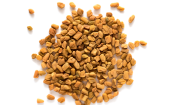 Kozieradka – właściwości lecznicze, działanie i zastosowanie