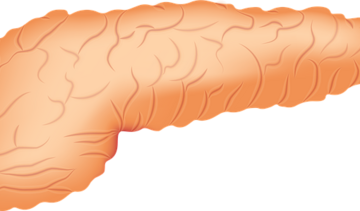 Bioniczna trzustka - pomoc dla cukrzyków