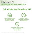 Esberitox N, 100 tabletek - TABLETKI