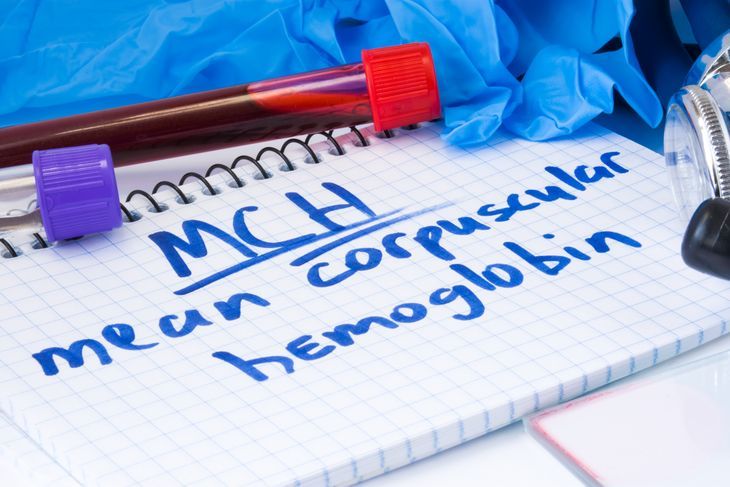 MCH jest wskaźnikiem średniej masy hemoglobiny w krwince czerwonej / Fot. Adobe Stock