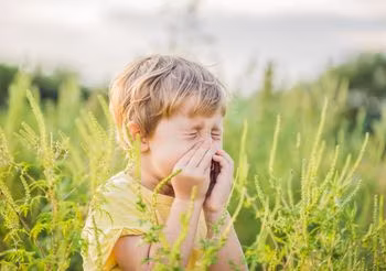 Mały chłopiec kicha na łące