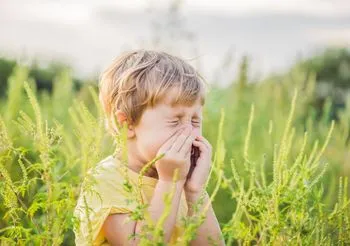 Mały chłopiec kicha na łące