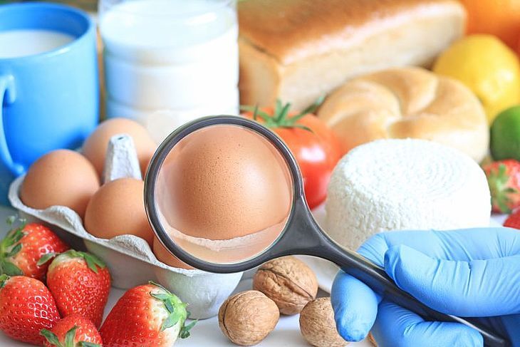 lupa skierowana na produkty uczulające: jaja, pszenny chleb, mleko, truskawki, orzechy, ser i in.