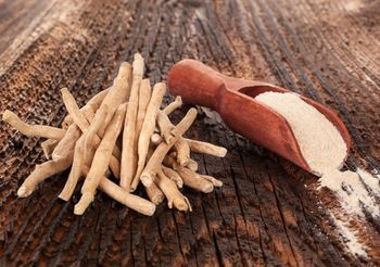 ashwagandha - witania ospała, indyjski żeń-szeń w proszku