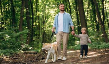 Powikłania po boreliozie – objawy, skutki i leczenie następstw choroby