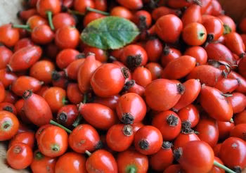 witamina c nie leczy przeziębienia