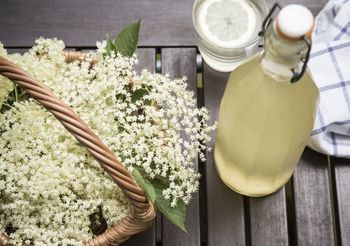 Kwiaty czarnego bzu i syrop