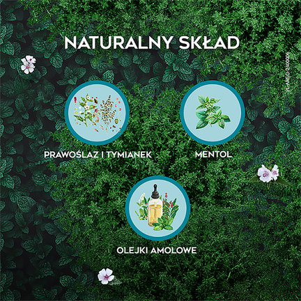 AMOLowe na gardło, 16 pastylek do ssania - TAKEDA