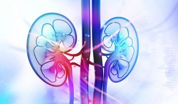 Liraglutyd zmniejsza ryzyko powikłań nerkowych