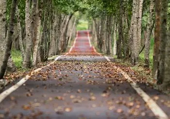 Cukrzyca skraca życie