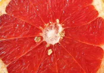 grejpfrut - pestki, przekrojony owoc