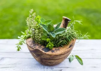 zioła na hemoroidy 
