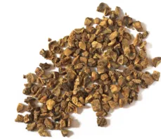 Czarci pazur – właściwości lecznicze, działanie, zastosowanie