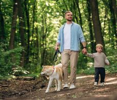 Powikłania po boreliozie – objawy, skutki i leczenie następstw choroby