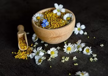 Pyłek pszczeli jest bezpiecznym produktem, o ile u pacjenta nie występuje uczulenie na miód i produkty pszczele / Fot. Adobe Stock