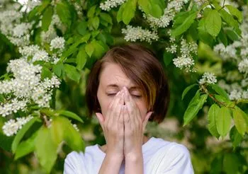 Podstawowymi lekami stosowanymi dziś przy alergiach są leki przeciwhistaminowe, a więc takie, które przeciwdziałając nadmiarowi uwolnionej przez organizm histaminy, likwidują objawy alergii, gdy te już wystąpiły.