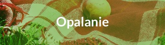 Opalanie