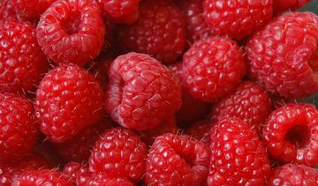 Maliny wspomagają leczenie przeziębień