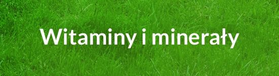 Witaminy i minerały