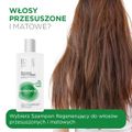 Idee Derm, szampon regenerujący do włosów przesuszonych, 300 ml - KOSMETYK