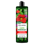 Herbapol Polana, szampon wzmacniający, 400 ml
