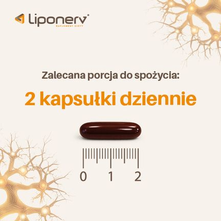Liponerv, 120 kapsułek miękich - QPHARMA