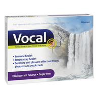 Vocal smak czarna porzeczka, 24 pastylek miękkich do ssania