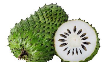 Graviola – właściwości lecznicze, działanie i zastosowanie. Sok z gravioli