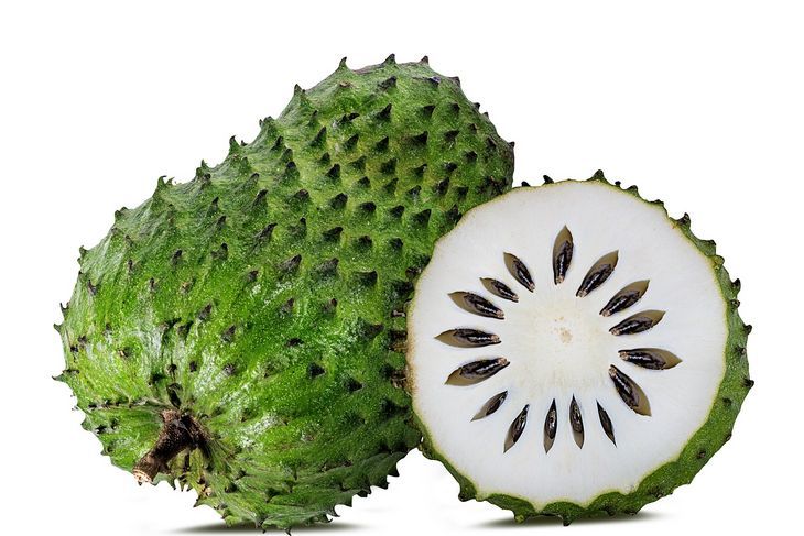 Graviola może prowadzić do wystąpienia działań niepożądanych, dlatego trzeba ją stosować w niewielkich ilościach, zgodnie z zaleceniami producenta / Fot. Adobe Stock