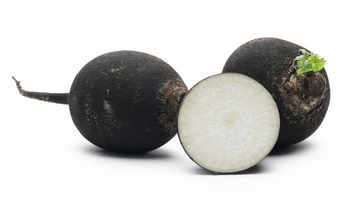 Czarna rzepa – właściwości lecznicze, działanie i zastosowanie