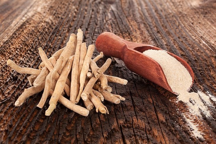 ashwagandha - witania ospała, indyjski żeń-szeń w proszku