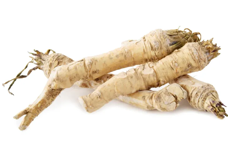 Chrzan pospolity ma właściwości antyoksydacyjne, przeciwbakteryjne, przeciwnowotworowe, przeciwzapalne. / Fot. Adobe Stock