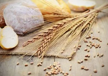 na stole leży pieczywo, kłosy i ziarna zboża