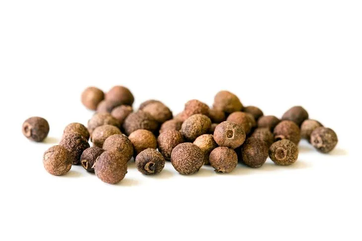 Ziele angielskie stosowane jest na dolegliwości ze strony układu pokarmowego – wzdęcia, nudności, wymioty, zaparcia i biegunki / Fot. Adobe Stock