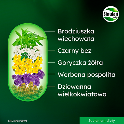 Sinulan Forte, 60 tabletek - Dorosły, Dziecko