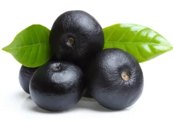 Jagody acai to owoce o silnych właściwościach przeciwutleniających.  Stosowane są m.in. w walce z oznakami starzenia się skóry, a także wspomagają profilaktykę przeciwnowotworową. / Fot. Adobe Stock