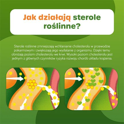 Danacol Plus, 21 saszetek x 15 ml - Dorosły