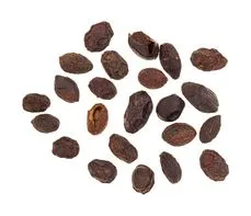 Palma sabałowa – właściwości lecznicze, działanie, zastosowanie