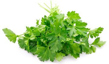 Pietruszka zwyczajna – właściwości lecznicze, działanie i zastosowanie