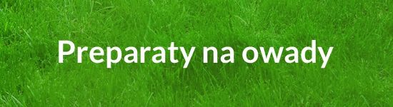 Preparaty na owady