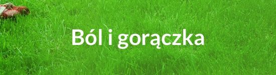 Ból i gorączka