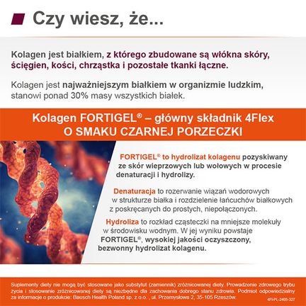4Flex, smak czarnej porzeczki, 30 saszetek - 5903546006558